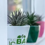 Apartament Lea *